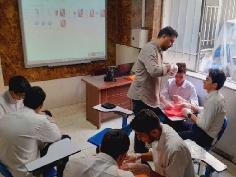 کلاس عملی تشریح کلیه